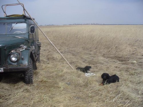 На привале