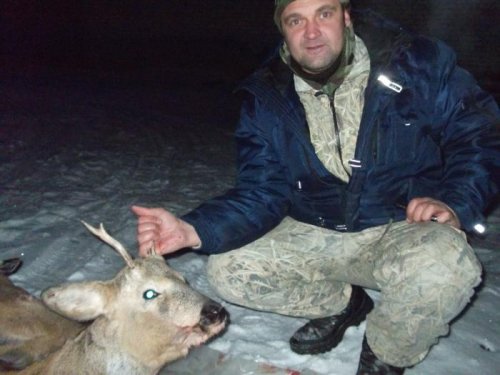 Закрытие лицензии 2011