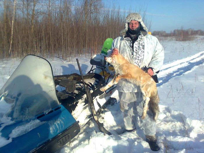 с другом охотимся на лис