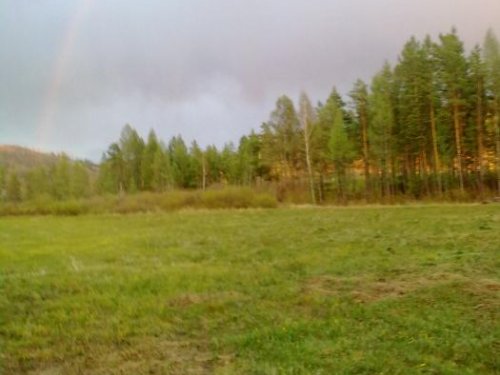 Пейзаж на покосе  