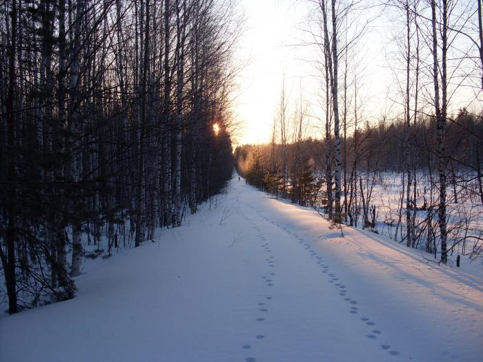 восход