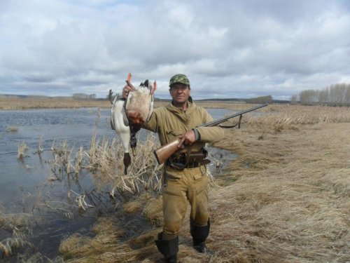 Утренняя зорька