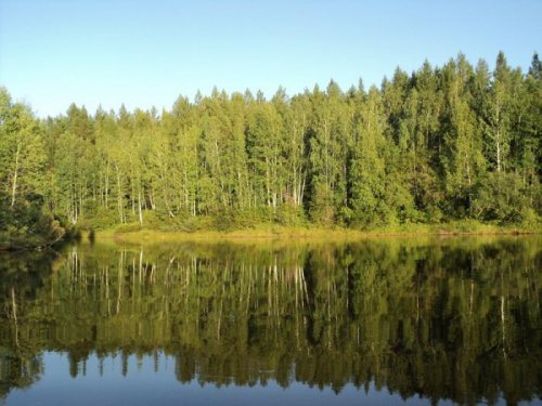 Красота