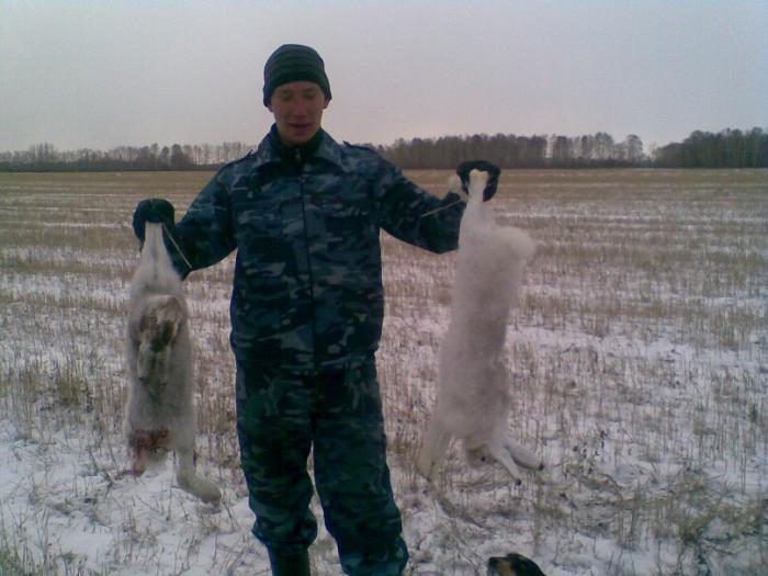 Зима 2011-2012