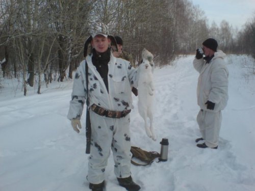 ушастик 