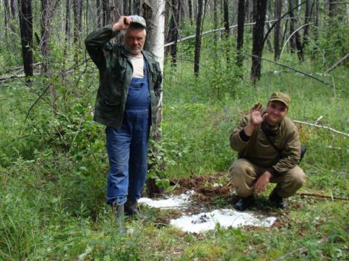Подсолка солонцов