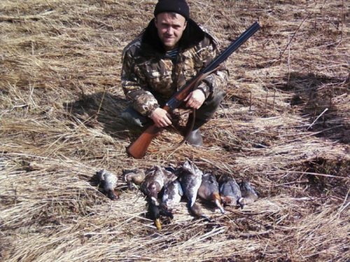 утренняя  зорька