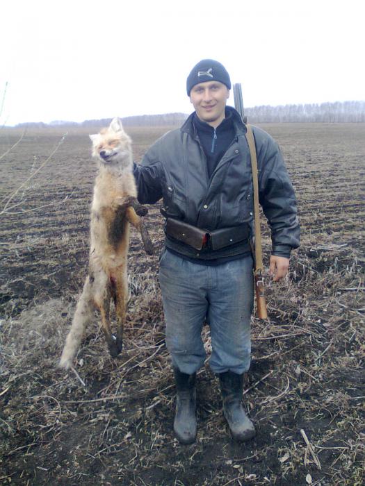 Открытие охоты на лису.Осень 2011.