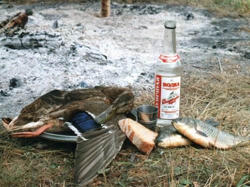 Натюрморт с уткой.