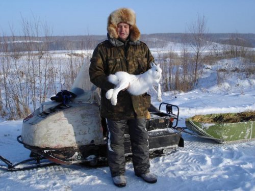Добегался