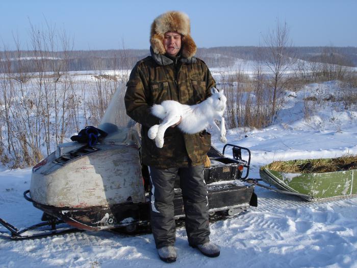 Добегался