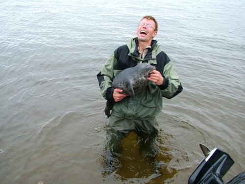 Кусаеса