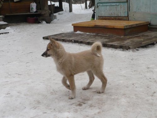 Уба 2,5 мес