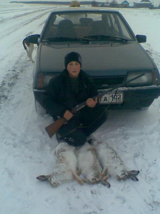зайчики
