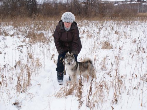 Будующий помощник