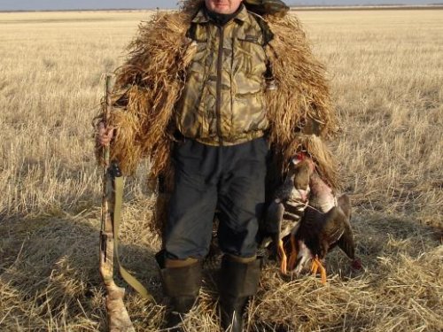 добрал подранков..
