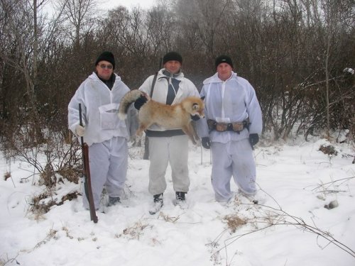 Вадим Сергеевич, магнум, я