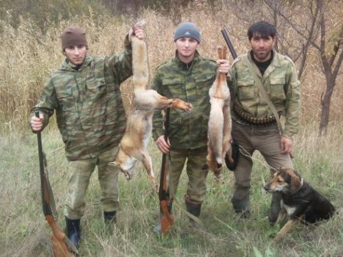 вот так вот
