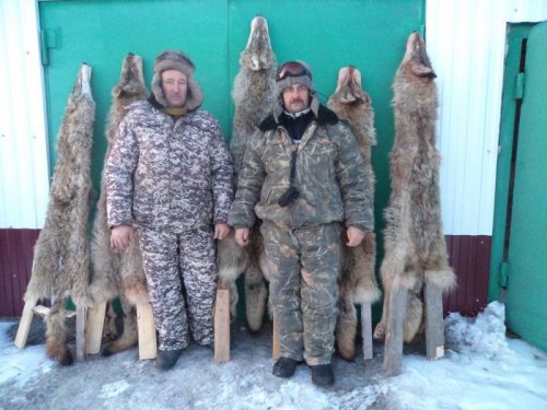 Охота 2012