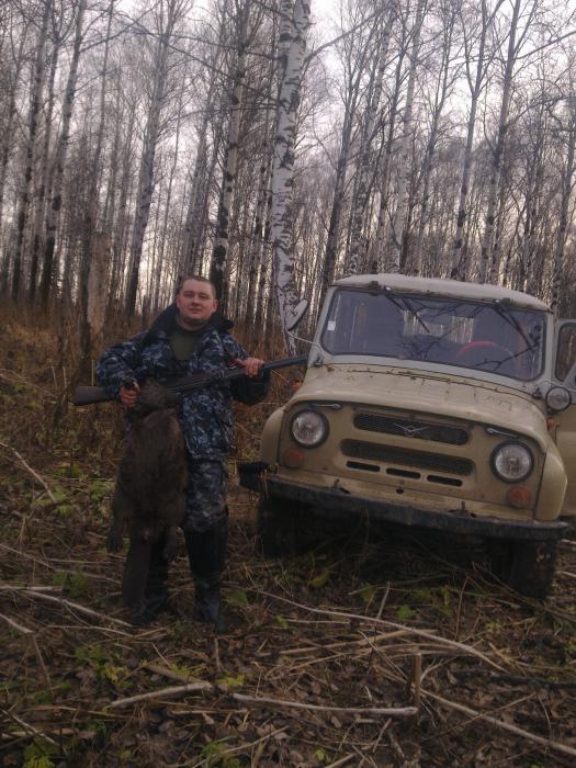 мой первый бобер