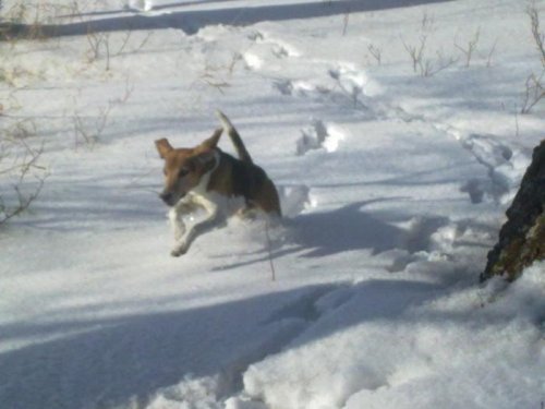 Полёт