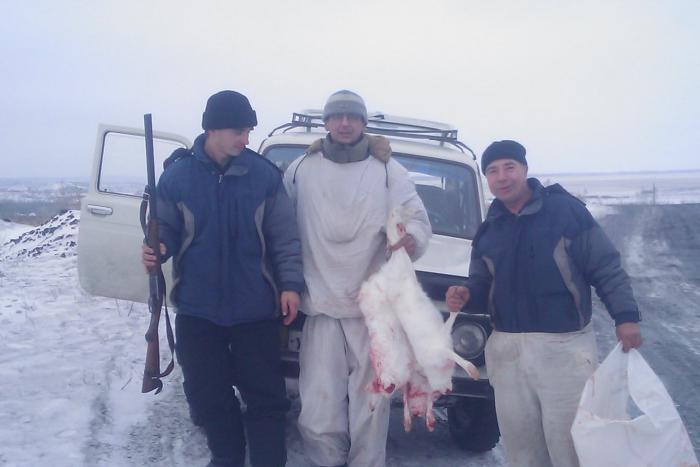 Тропили