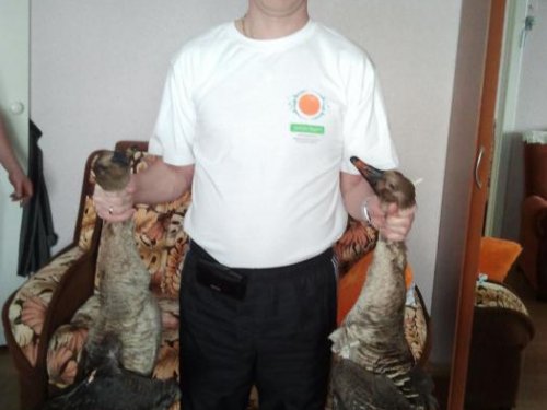 добыча