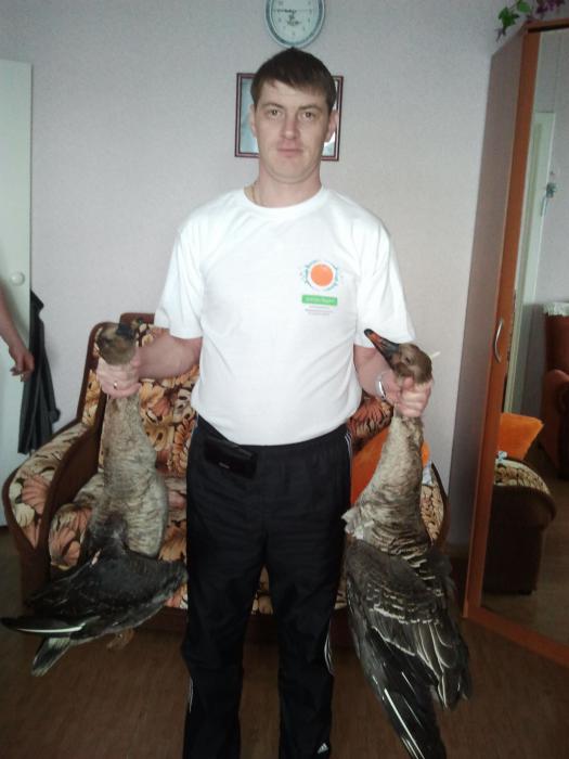 добыча