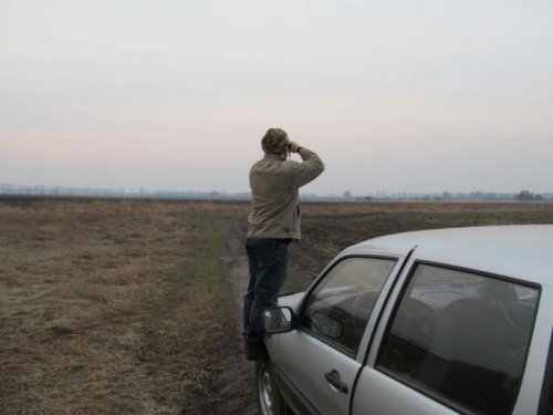 В поисках тока
