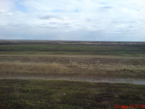 Каменский район