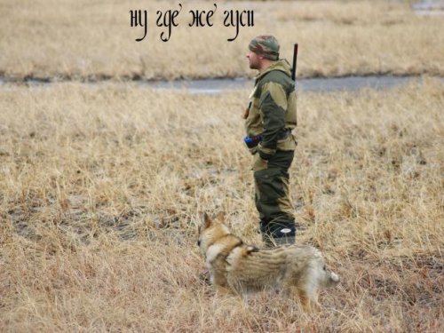 Терпение на исходе