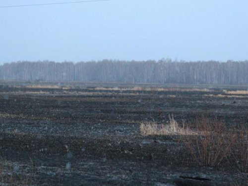 Добро пожаловать в Дупленку