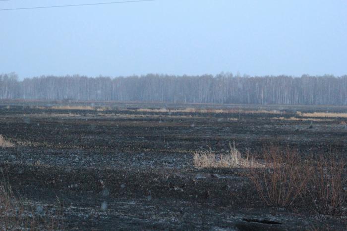 Добро пожаловать в Дупленку