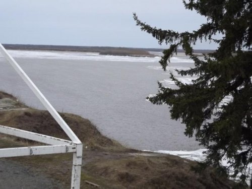 Подвижка