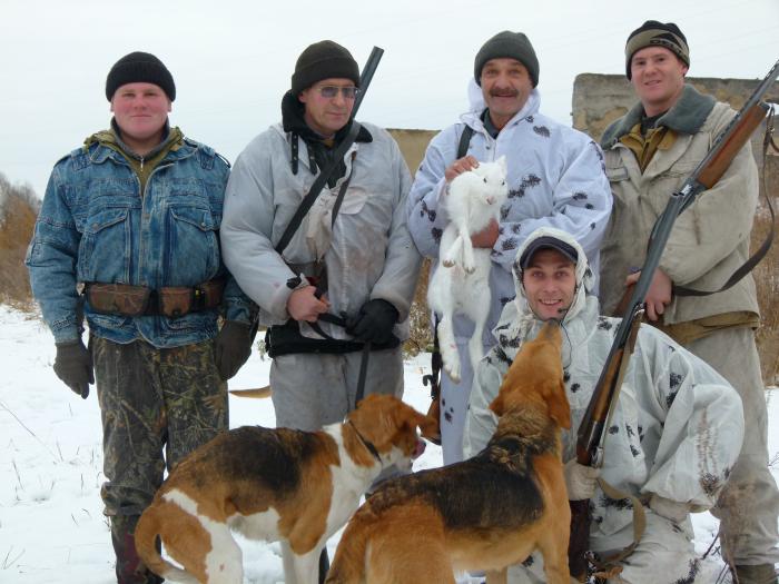 собачки молодцы