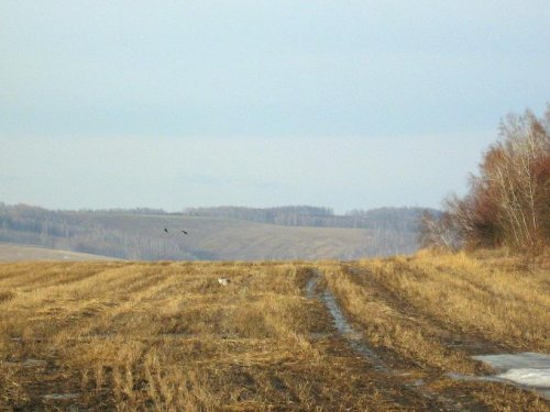 Вышла на солнышко.