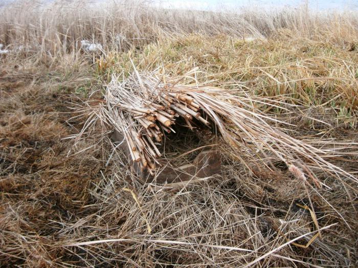 Гнездовья для водно-болотных птиц
