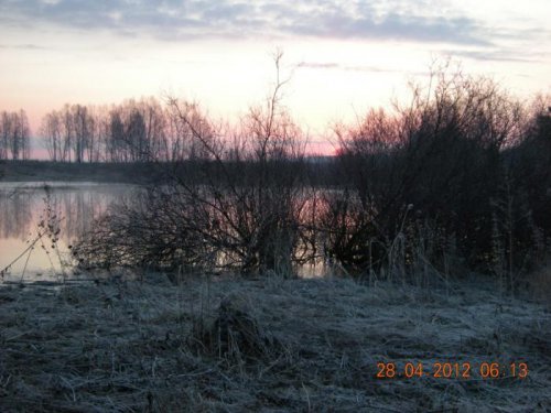 утро. морозное