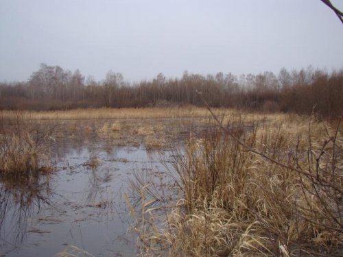 Хорошее местечко