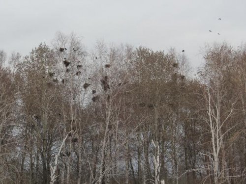 Норму выполнить,раз плюнуть