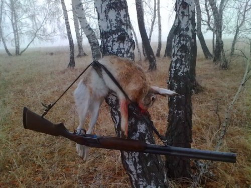 завалил кабанчика)))
