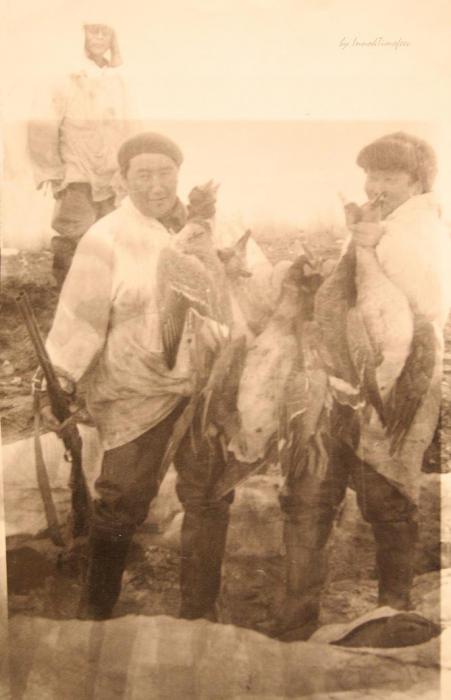 гусятники