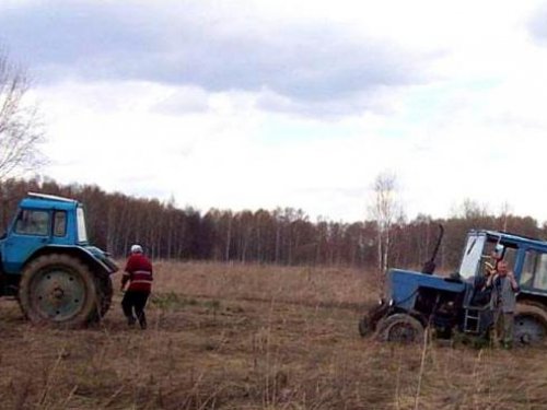 Два друга!!