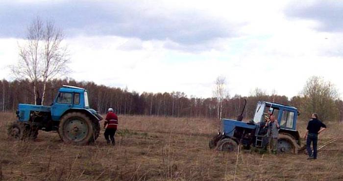 Два друга!!