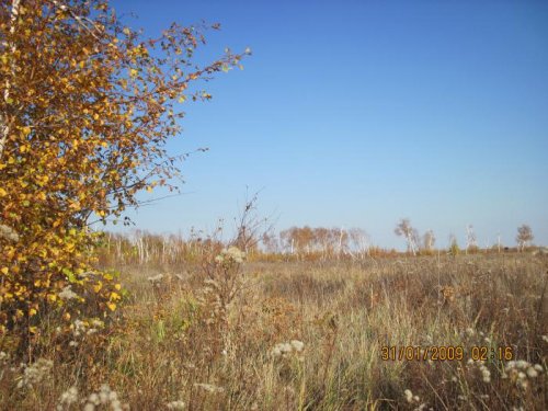 Природа Алтая