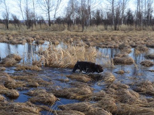 И ледяная вода пофиг.
