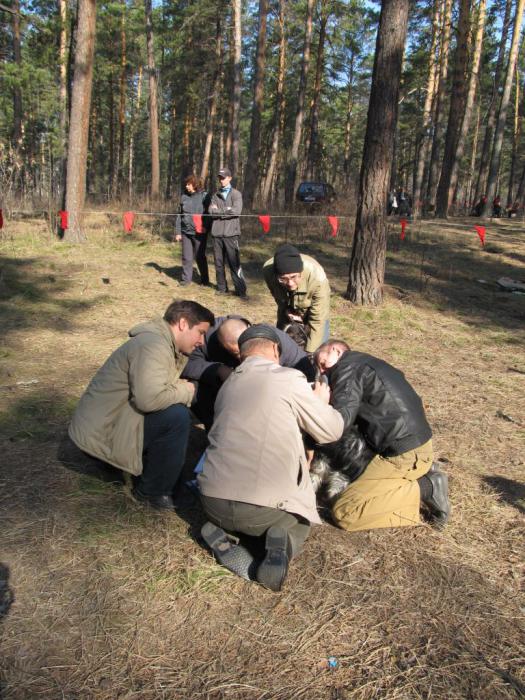 Ну покажи зубки, ну пожалуйста!
