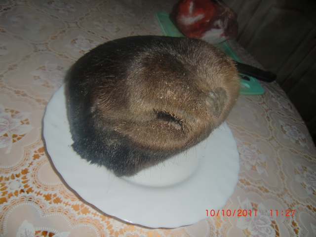 Деликатес
