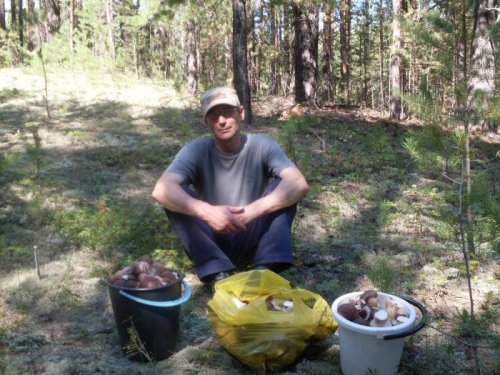 Дары осени