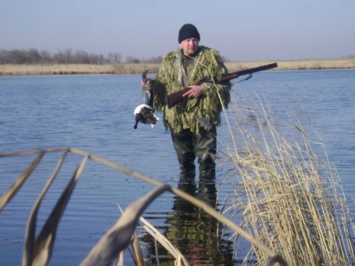 приплыл к чучелам